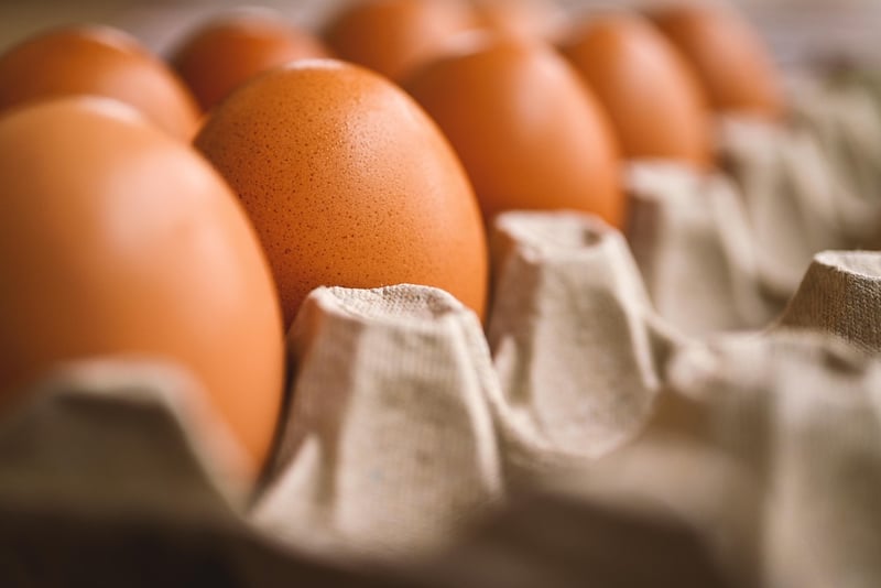 Plat inox au four : quand le choisir face à la céramique ou l’alu