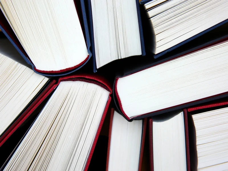 La balise alt : le texte que Google lit